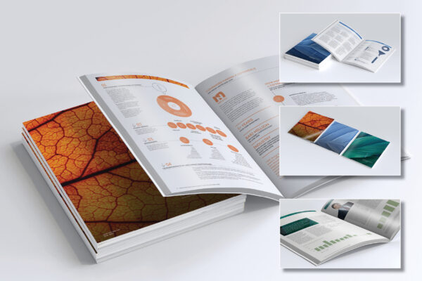 NAOS Annual Reports